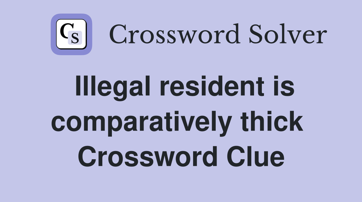 Illegal resident is comparatively thick  Crossword Clue