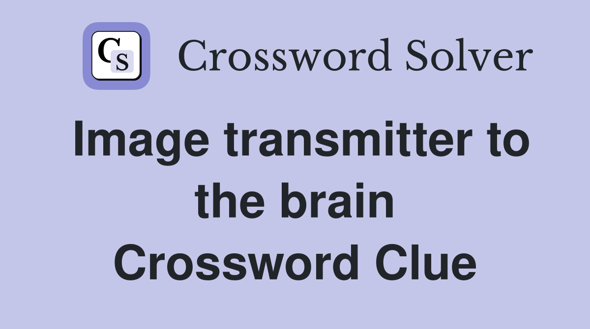 Image transmitter to the brain Crossword Clue