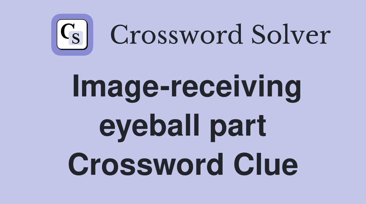 Image-receiving eyeball part Crossword Clue