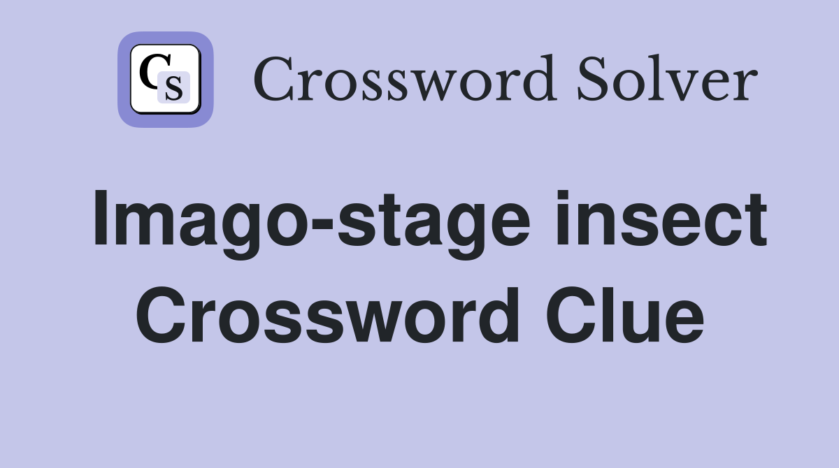 Imago-stage insect Crossword Clue