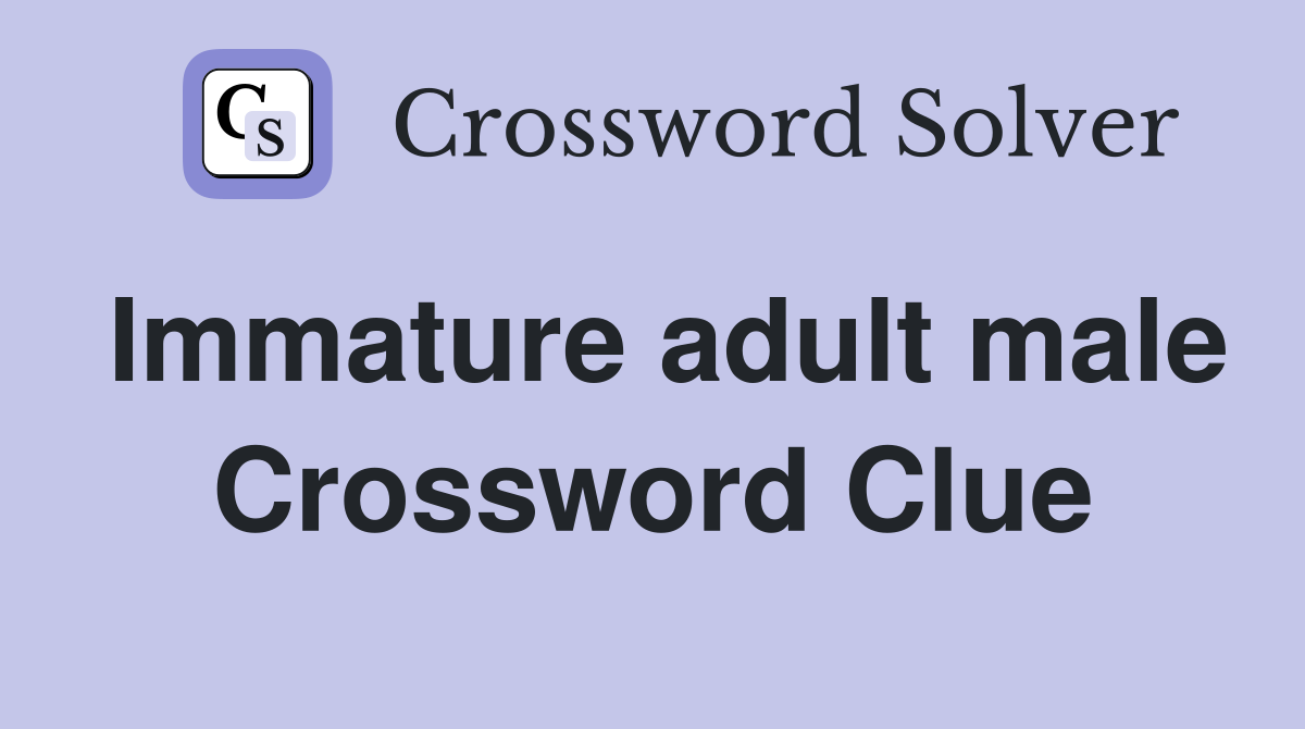 Immature adult male Crossword Clue