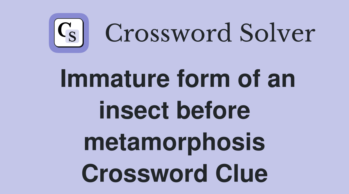 Immature form of an insect before metamorphosis Crossword Clue