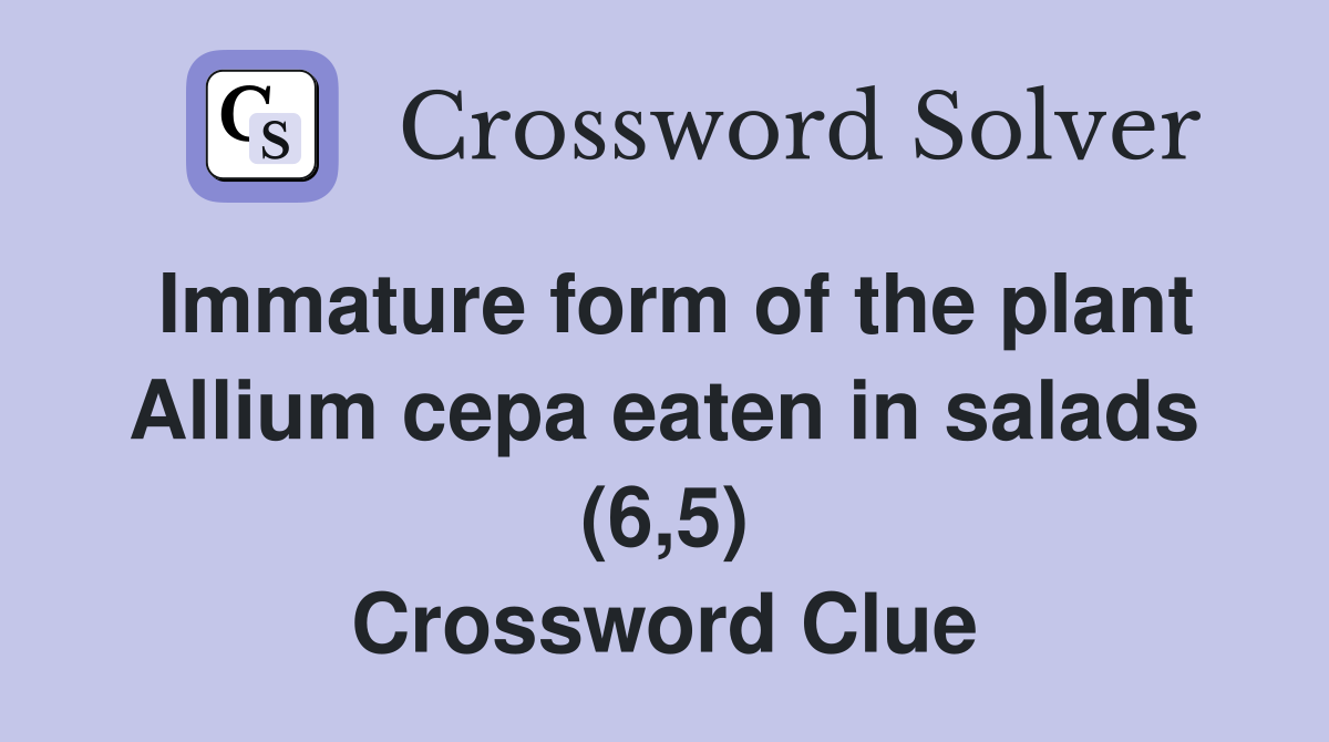 Immature form of the plant Allium cepa eaten in salads (6,5) Crossword Clue