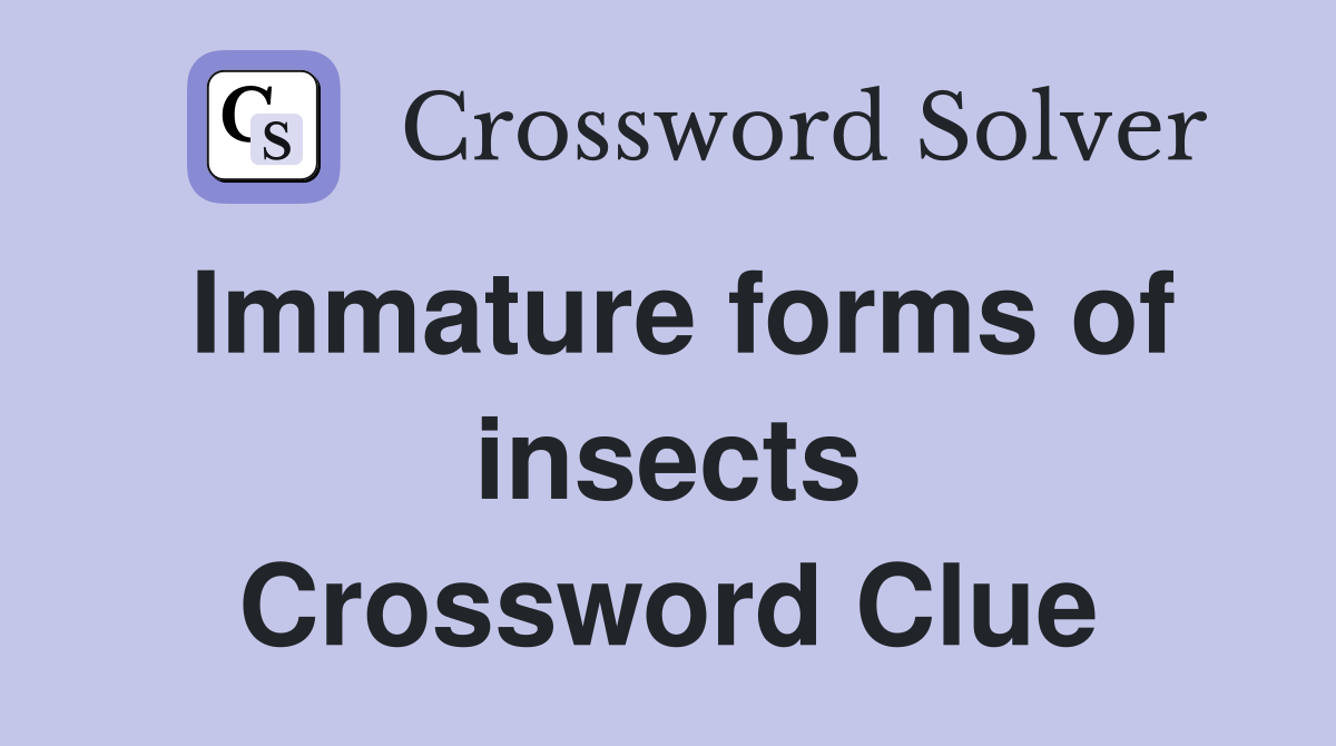 Immature forms of insects Crossword Clue