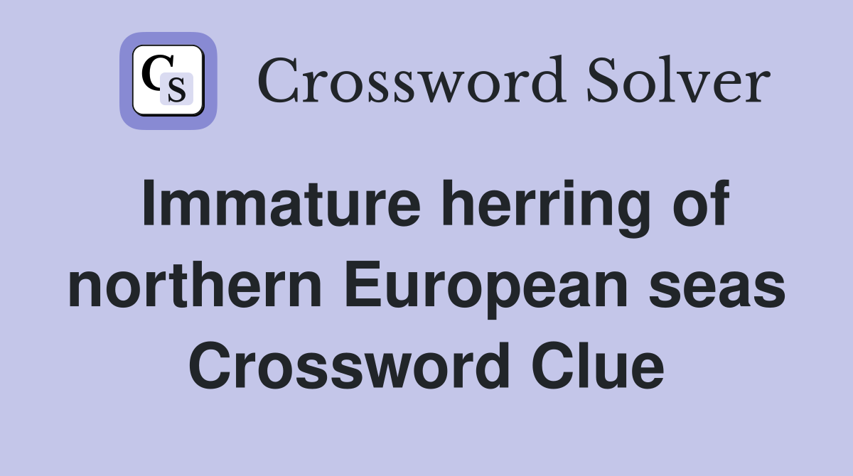 Immature herring of northern European seas Crossword Clue