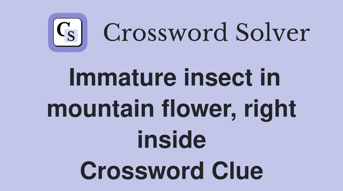 Immature insect in mountain flower, right inside Crossword Clue
