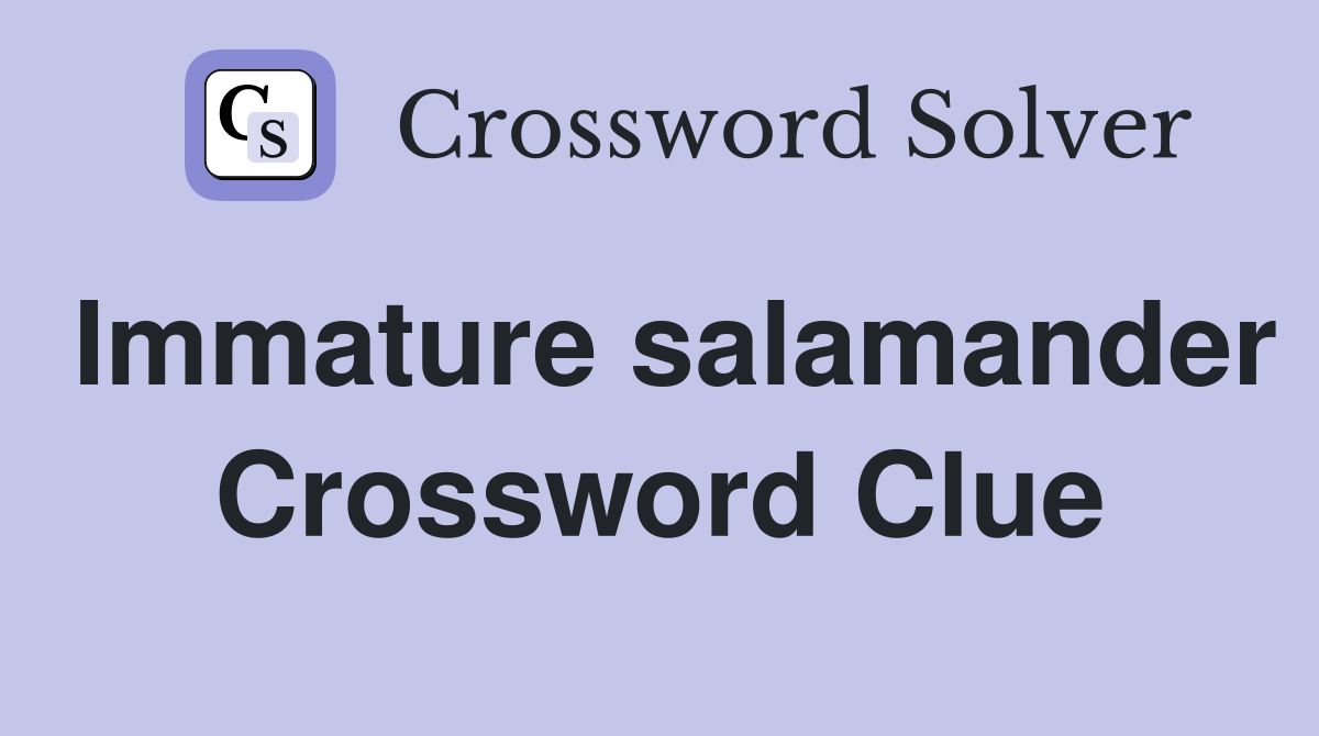 Immature salamander Crossword Clue