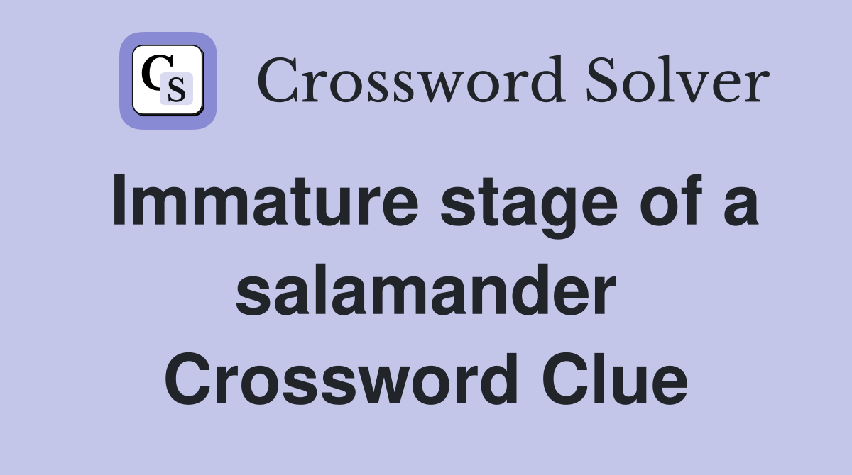 Immature stage of a salamander Crossword Clue