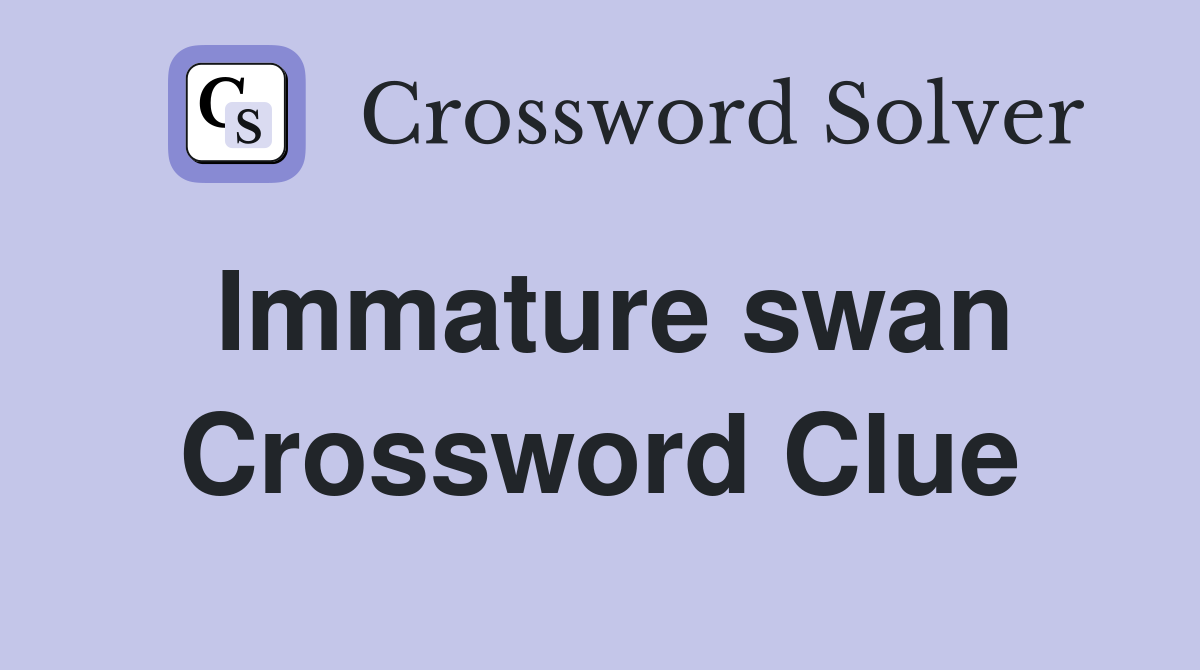 Immature swan Crossword Clue