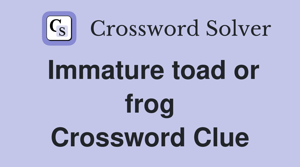 Immature toad or frog Crossword Clue