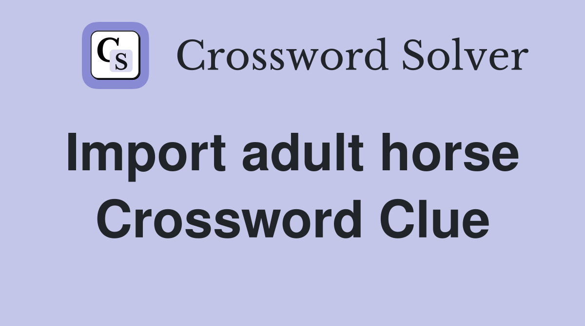Import adult horse  Crossword Clue