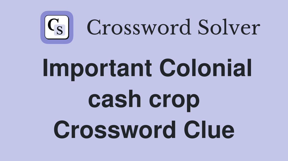 Important Colonial cash crop Crossword Clue