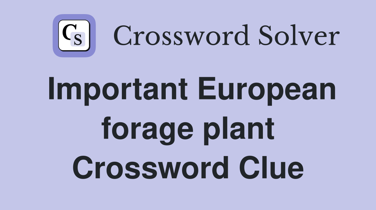 Important European forage plant Crossword Clue