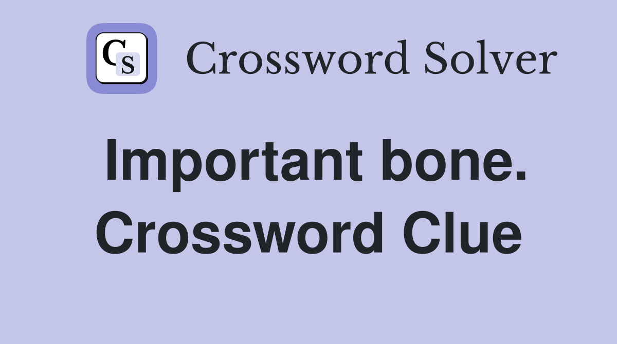 Important bone. Crossword Clue