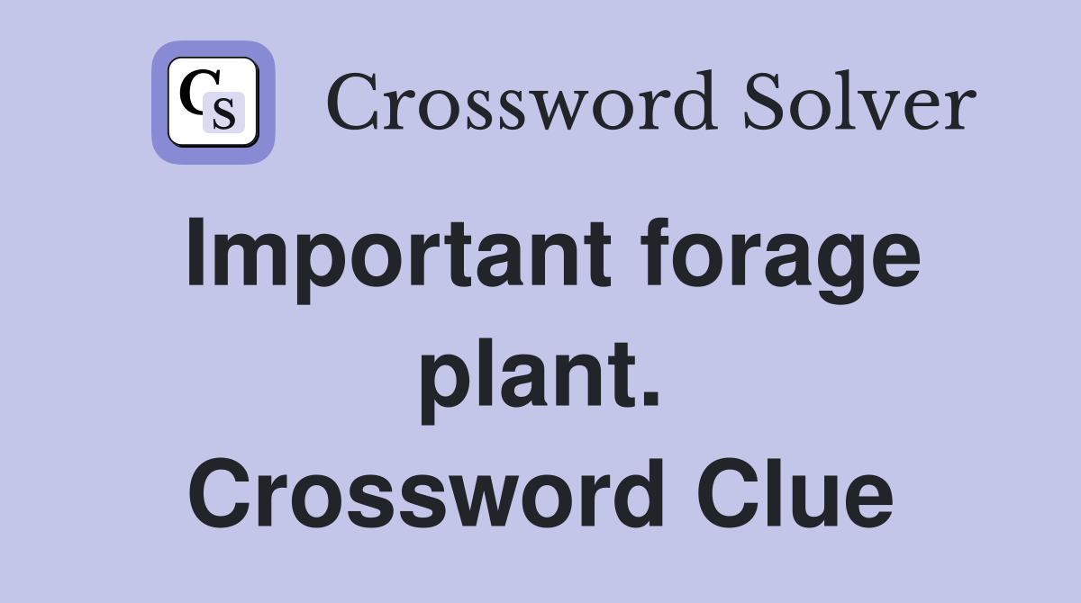 Important forage plant. Crossword Clue