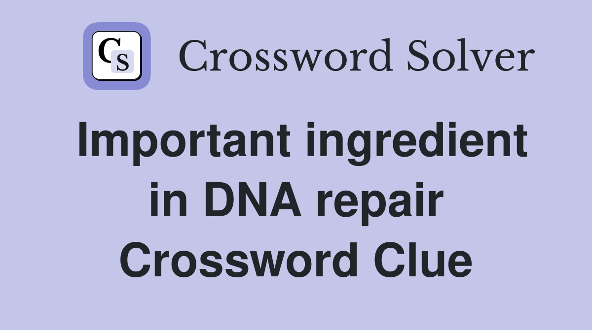 Important ingredient in DNA repair Crossword Clue