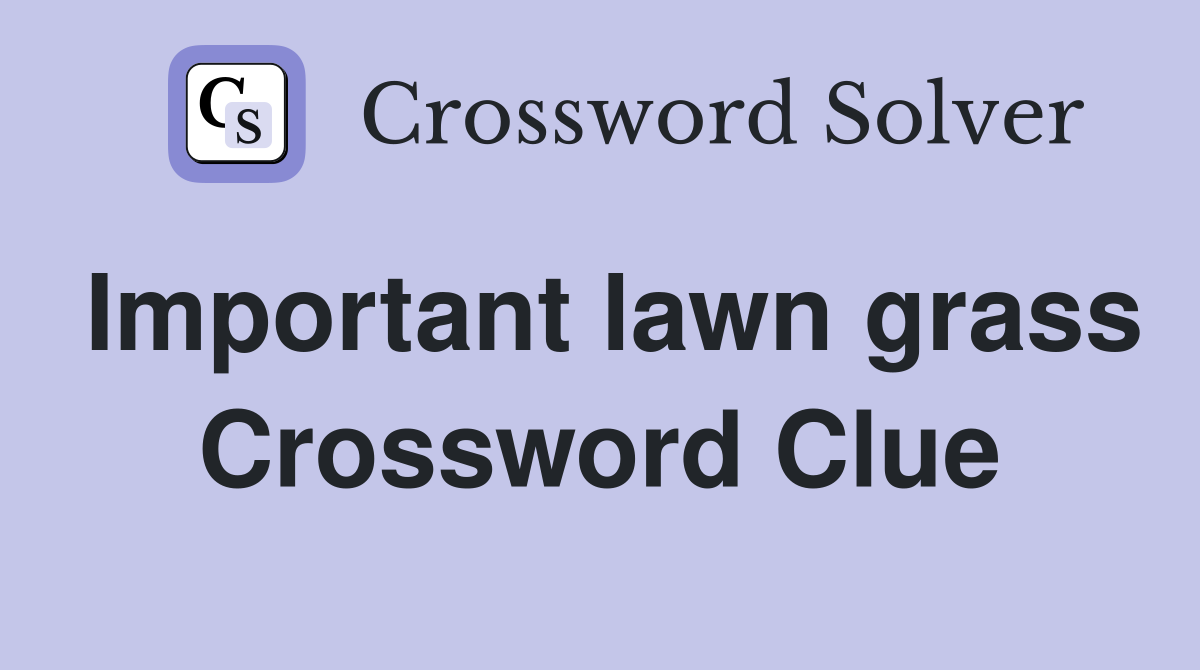 Important lawn grass Crossword Clue