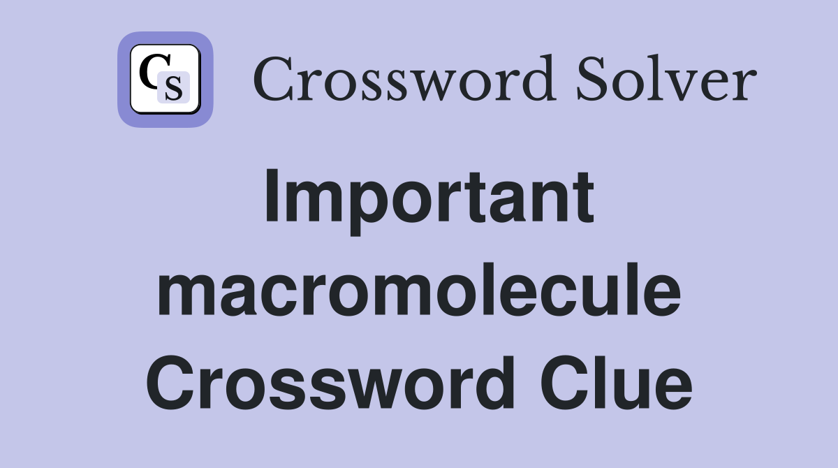 Important macromolecule Crossword Clue