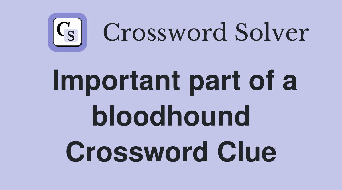 Important part of a bloodhound Crossword Clue