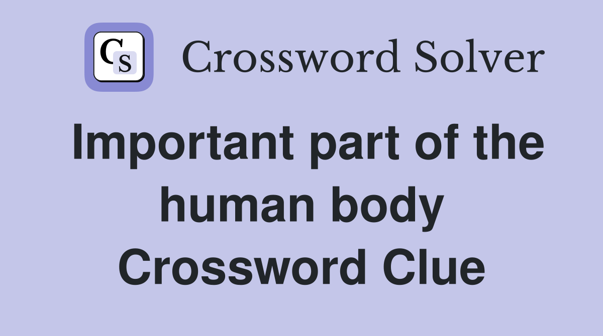 Important part of the human body Crossword Clue