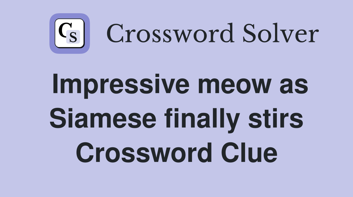 Impressive meow as Siamese finally stirs Crossword Clue