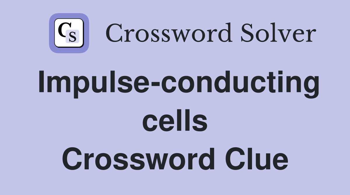 Impulse-conducting cells Crossword Clue