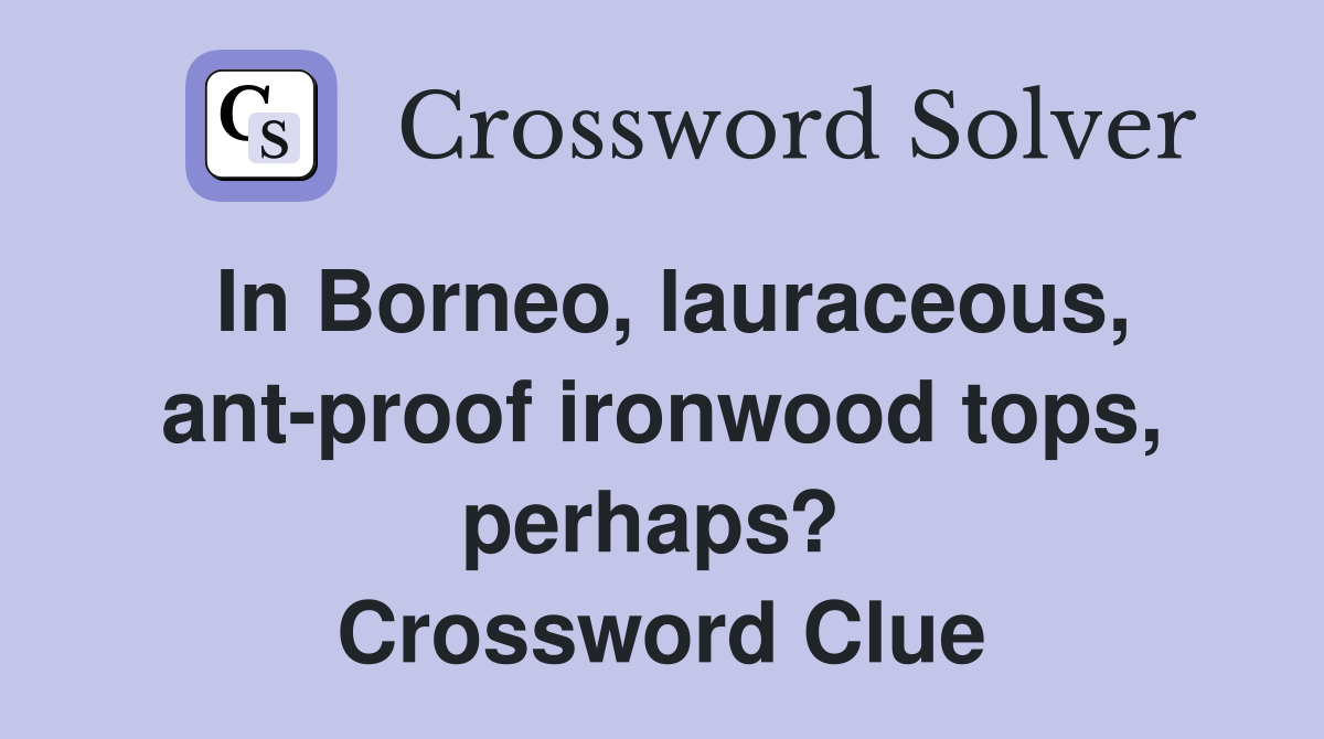 In Borneo, lauraceous, ant-proof ironwood tops, perhaps?  Crossword Clue