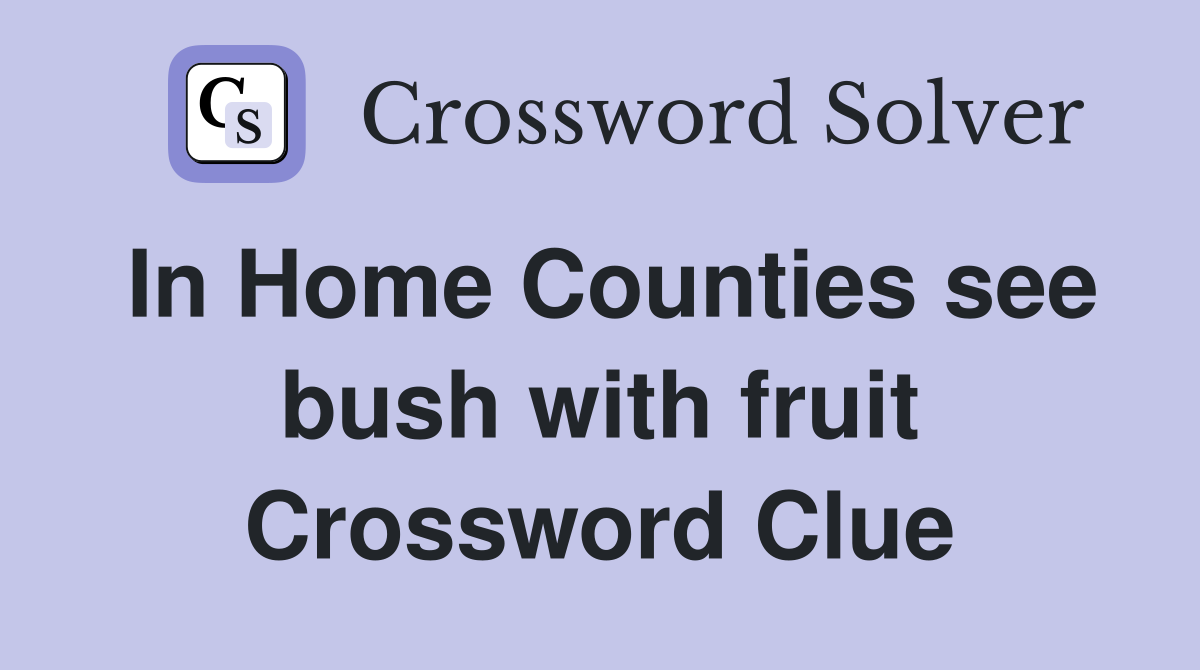 In Home Counties see bush with fruit Crossword Clue