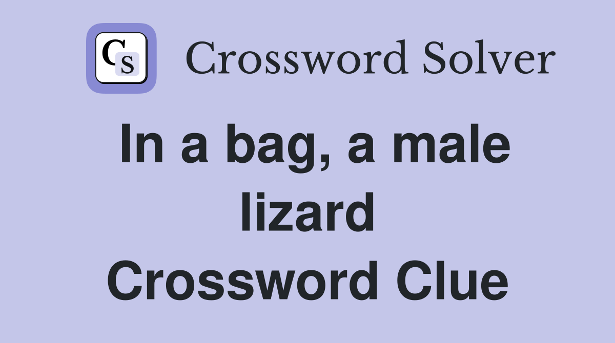 In a bag, a male lizard Crossword Clue