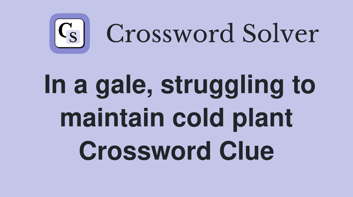In a gale, struggling to maintain cold plant Crossword Clue