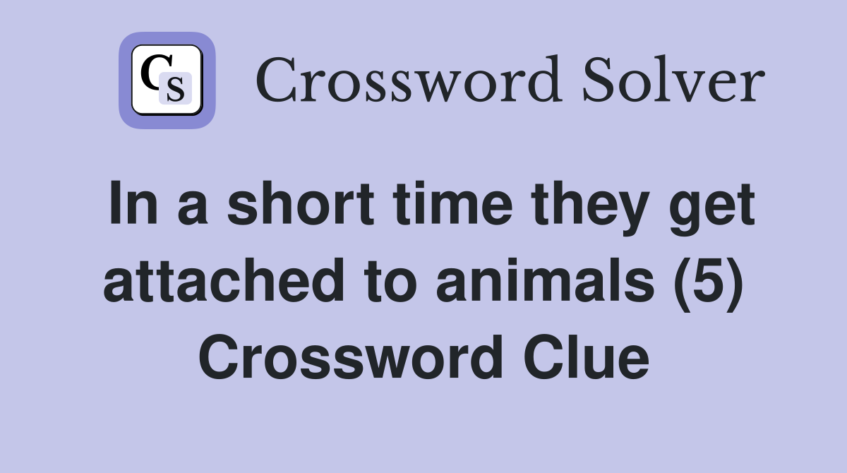 In a short time they get attached to animals (5) Crossword Clue