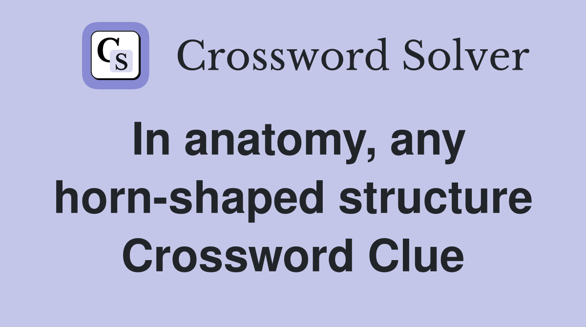 In anatomy, any horn-shaped structure Crossword Clue