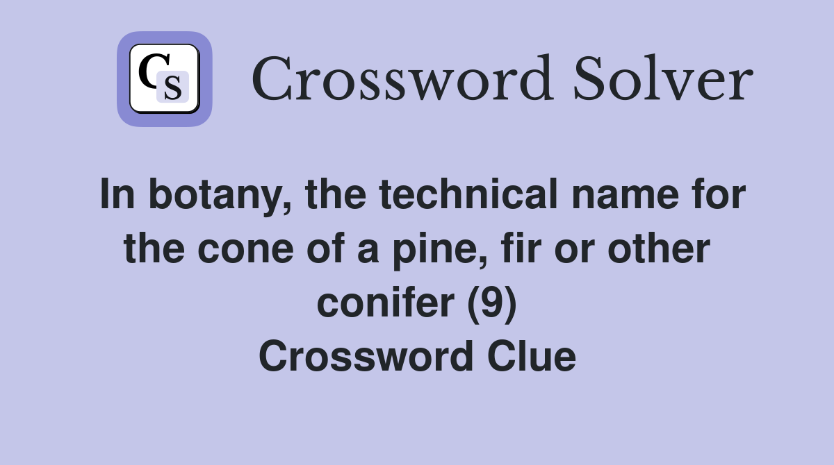 In botany the technical name for the cone of a pine fir or other