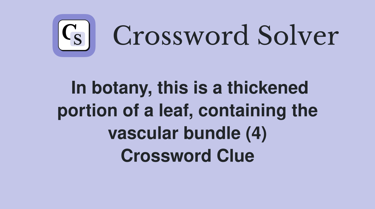 In botany, this is a thickened portion of a leaf, containing the vascular bundle (4) Crossword Clue