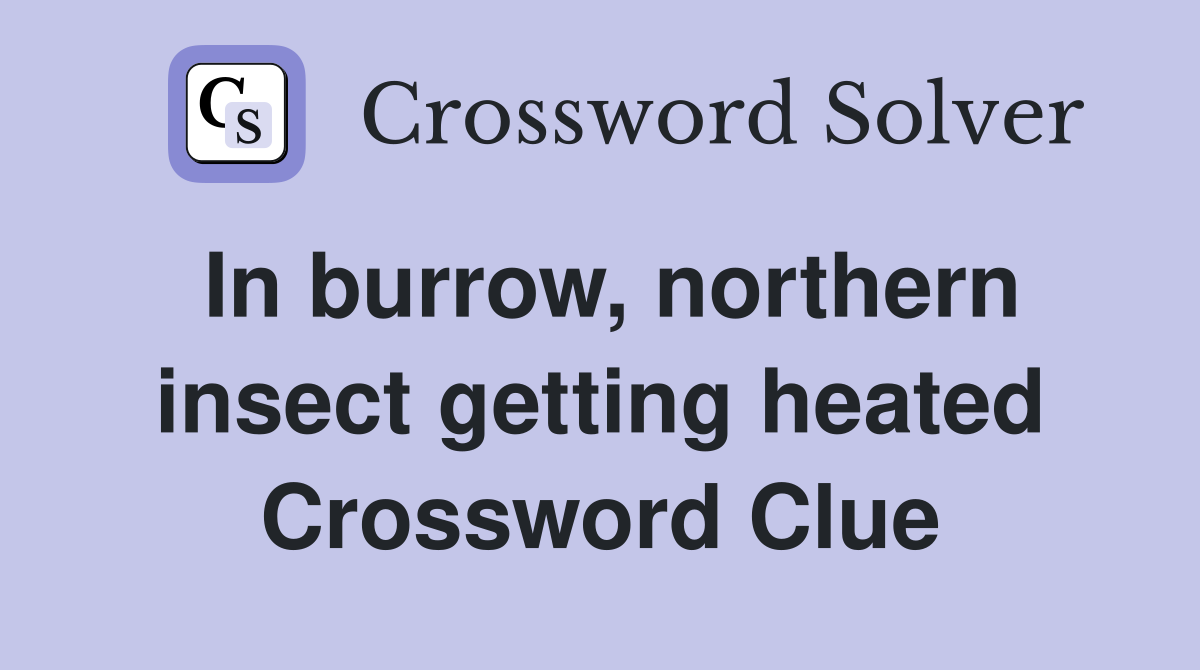 In burrow, northern insect getting heated Crossword Clue