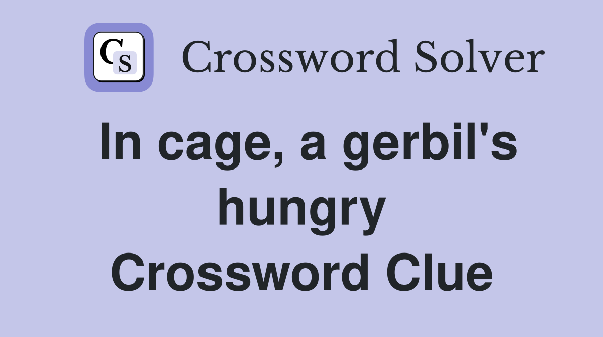 In cage, a gerbil's hungry Crossword Clue