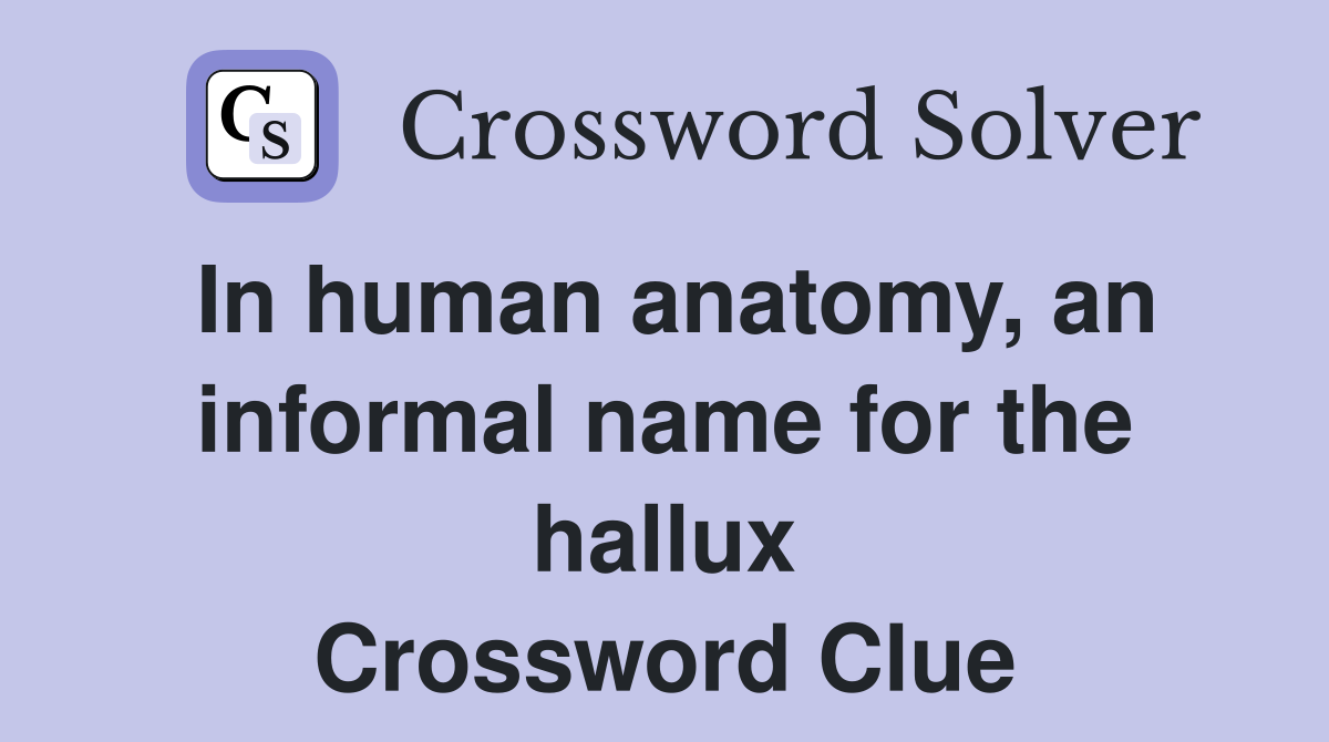 In human anatomy, an informal name for the hallux Crossword Clue