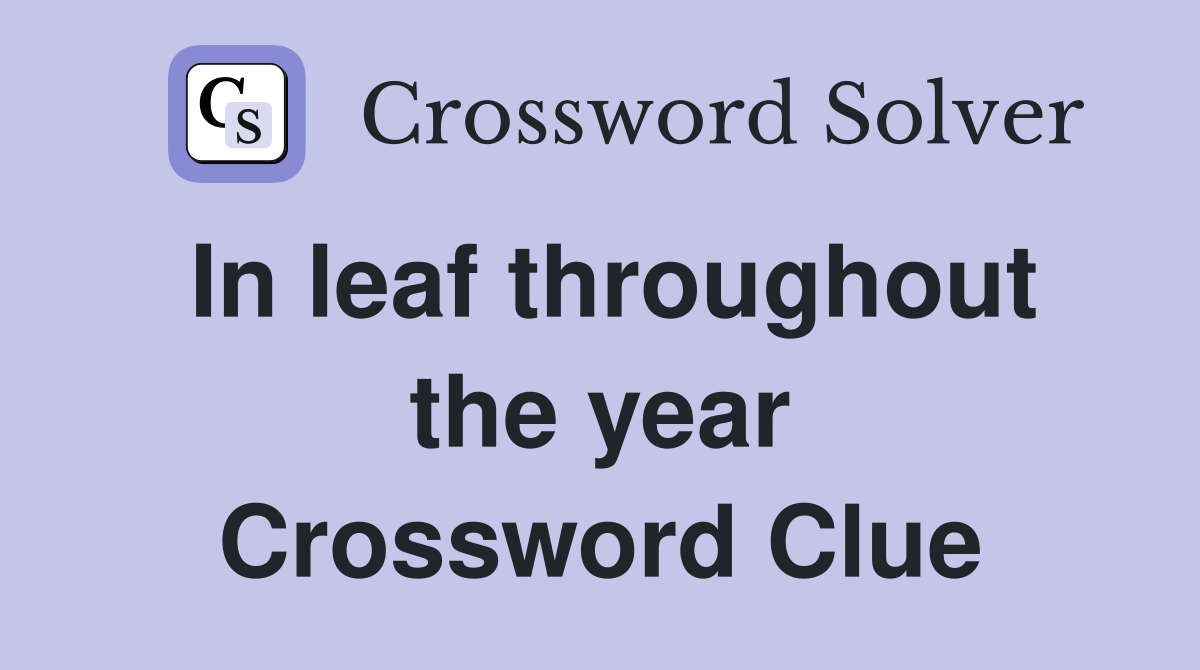 In leaf throughout the year Crossword Clue