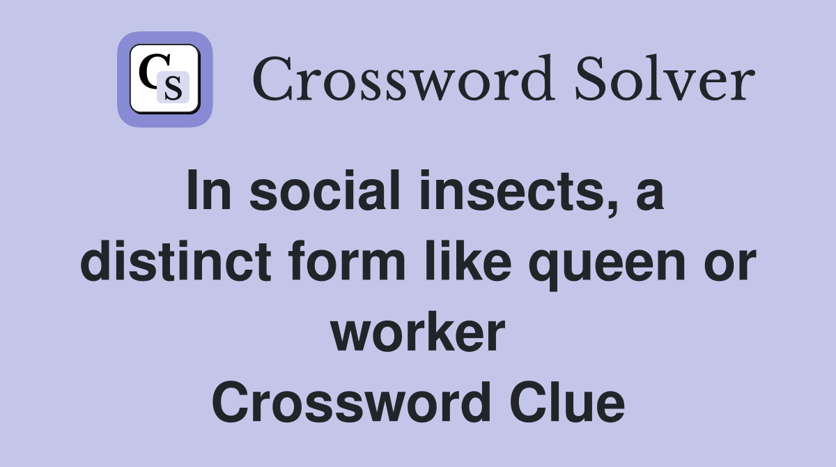 In social insects, a distinct form like queen or worker Crossword Clue
