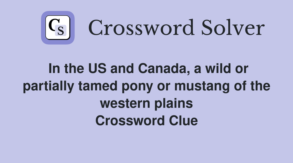 In the US and Canada, a wild or partially tamed pony or mustang of the western plains Crossword Clue