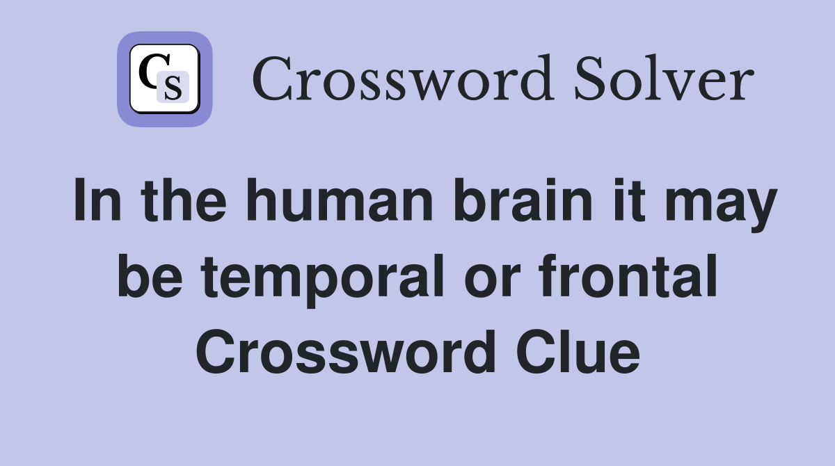 In the human brain it may be temporal or frontal Crossword Clue