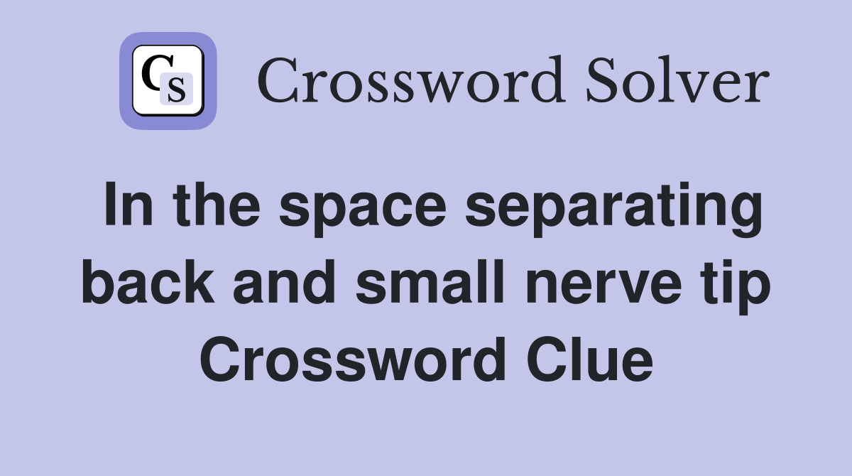 In the space separating back and small nerve tip Crossword Clue