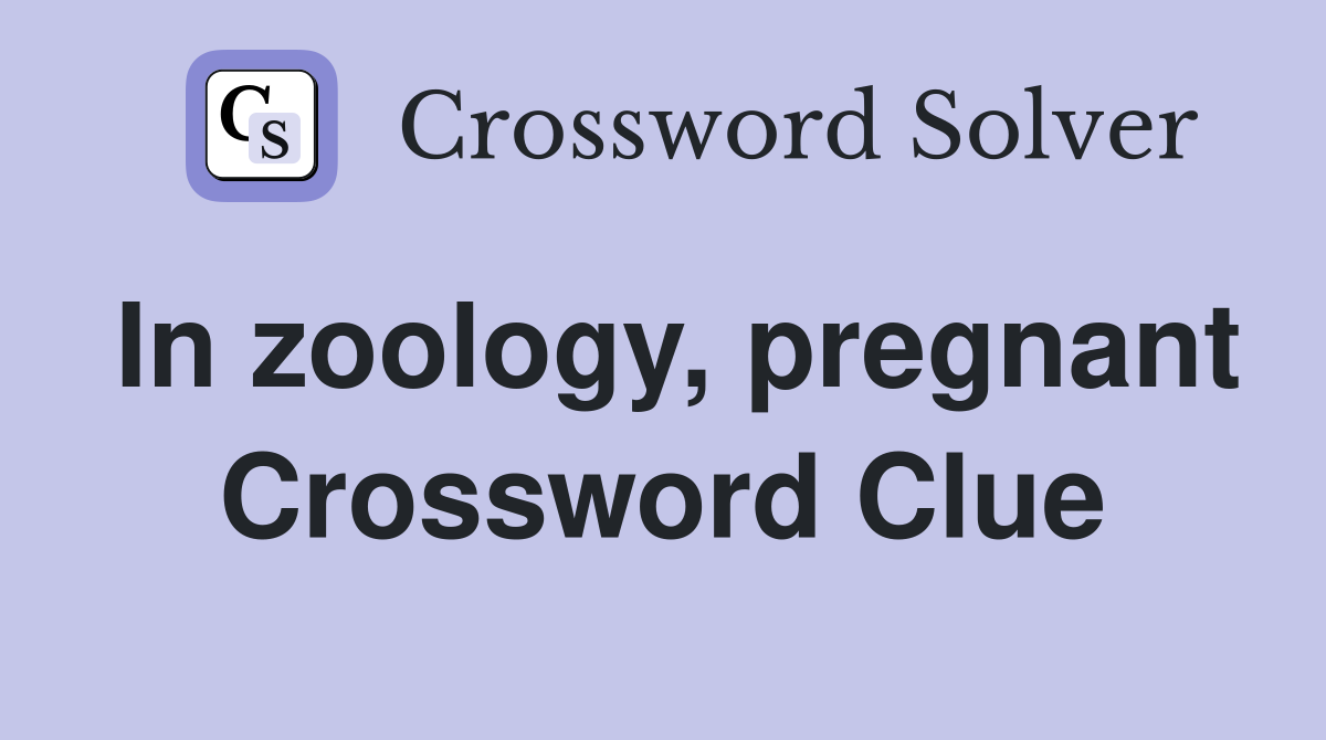 In zoology, pregnant Crossword Clue