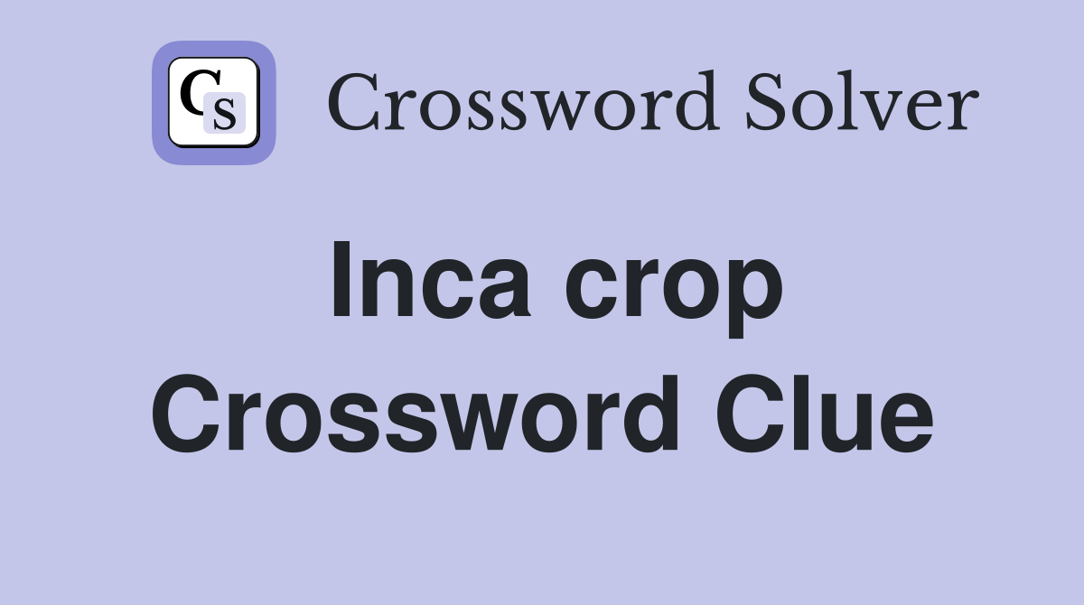 Inca crop Crossword Clue