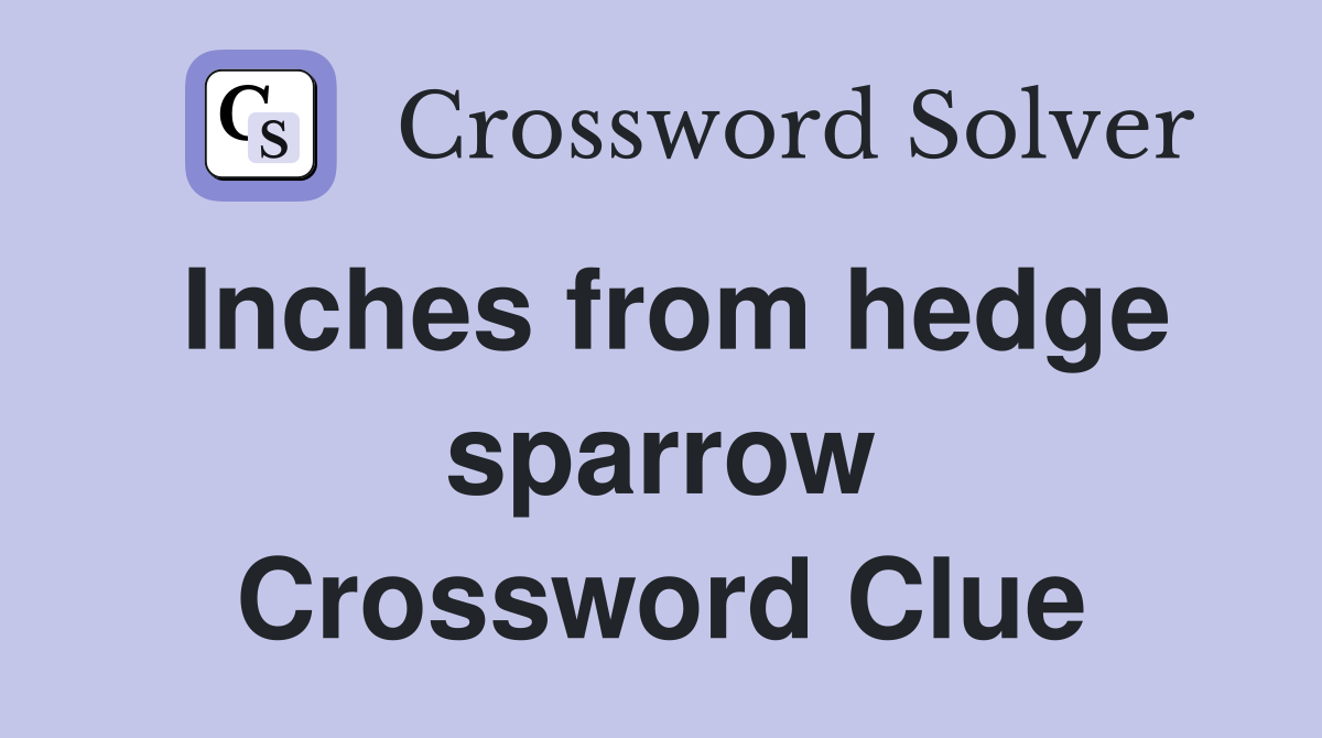 Inches from hedge sparrow Crossword Clue