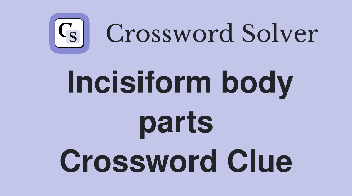 Incisiform body parts Crossword Clue
