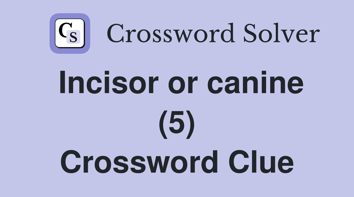 Incisor or canine (5) Crossword Clue