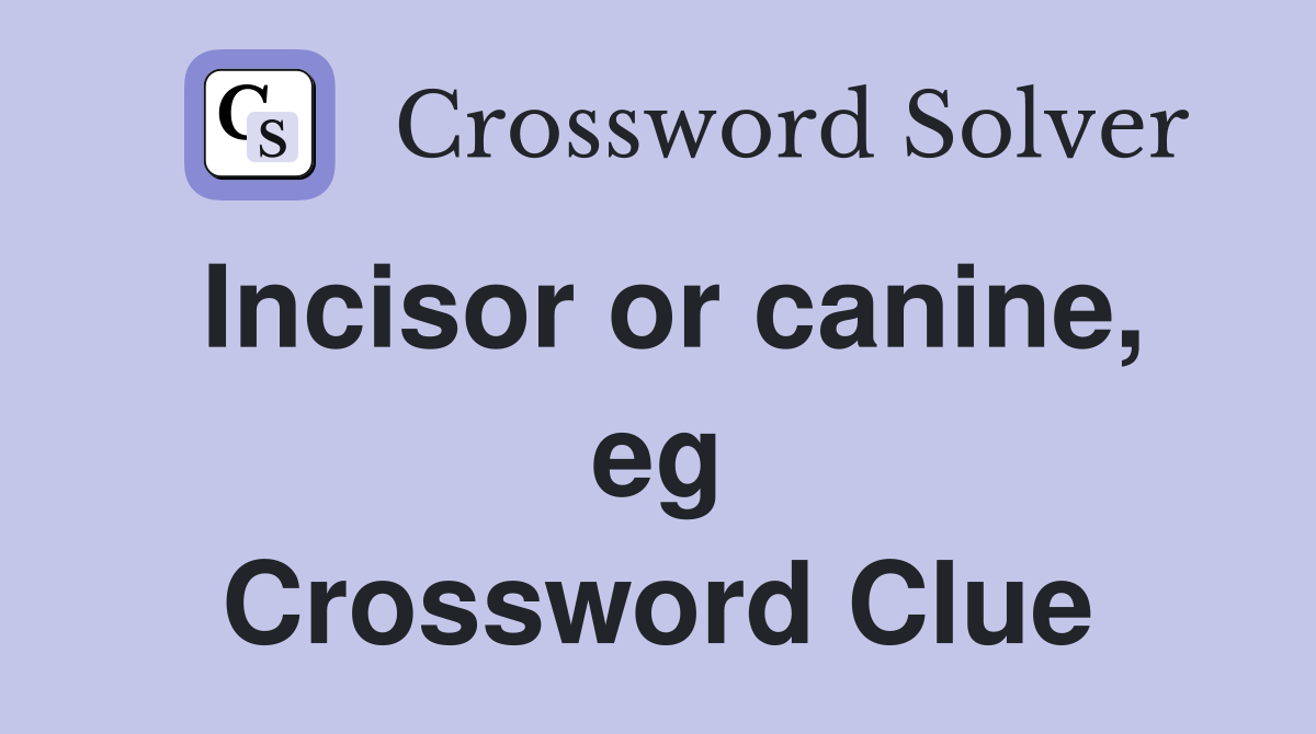 Incisor or canine, eg Crossword Clue