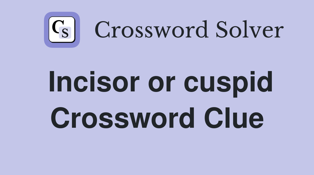 Incisor or cuspid Crossword Clue