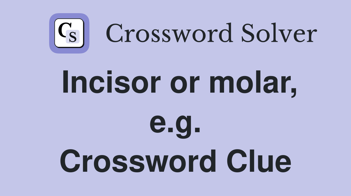 Incisor or molar, e.g. Crossword Clue